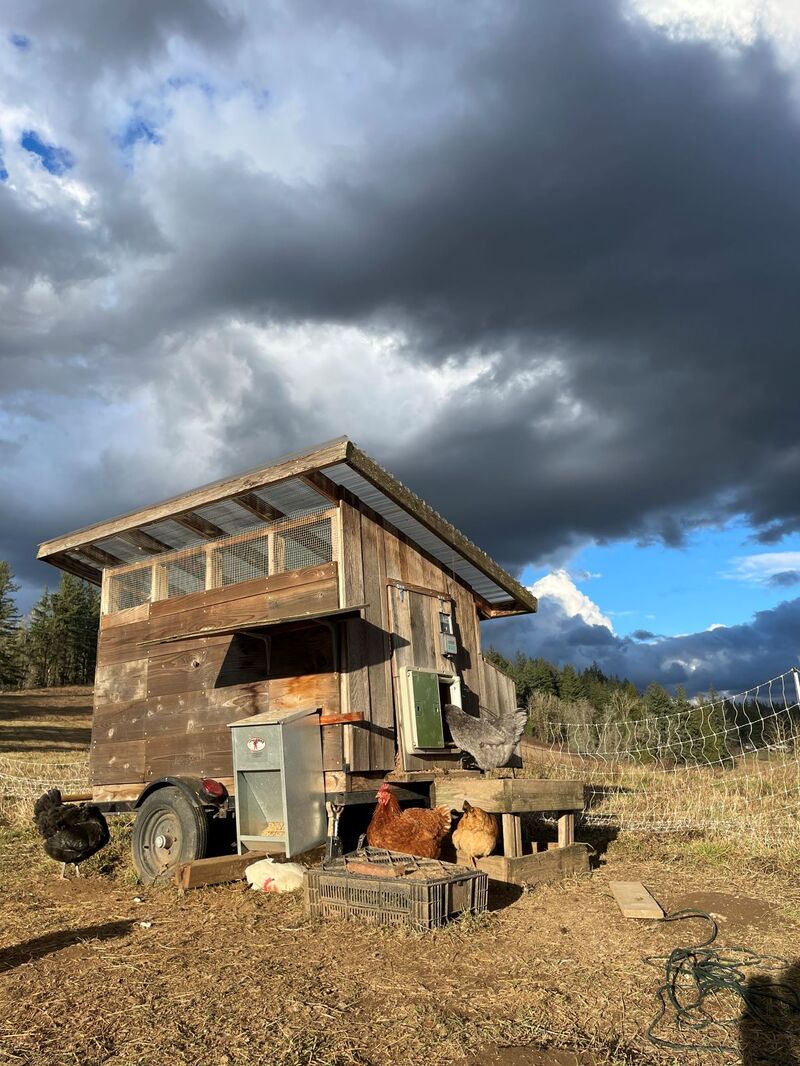 A mobile chicken coop in a field under a blue sky with dark stormy clouds. A white, tan, brown, and gray chicken are outside the coop enjoying the sunshine.
